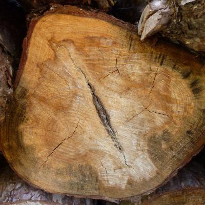 Alles Aus Holz01