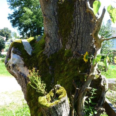 Alles Aus Holz03