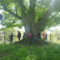 Grundschule